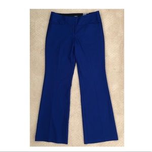Express Editor Low Rise Flare Cobalt Blue 8R New